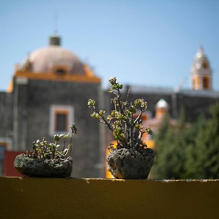 Majikal B&B - La Dona Cholula de Rivadavia Exterior foto